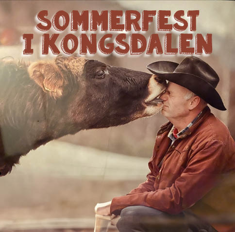 Sommerfest i Kongsdalen